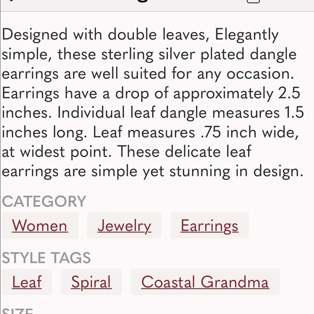 Spiral Dangle Silver Earrings - Picture 3 of 3